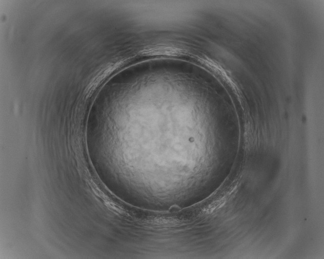 X0000064040529200601271204