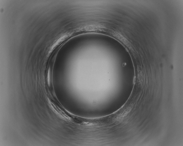 X0000064040530200601271204