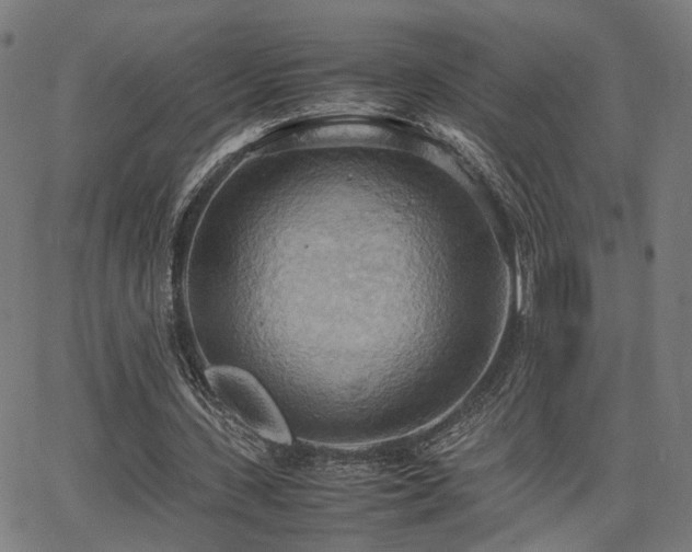 X0000064040531200601271204