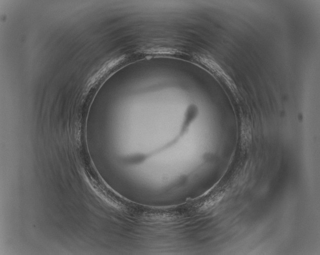 X0000064040533200601271204