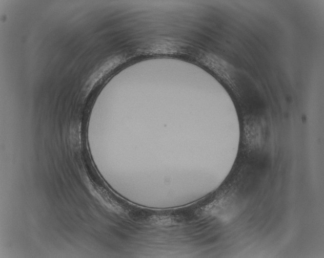 X0000064040534200601271204