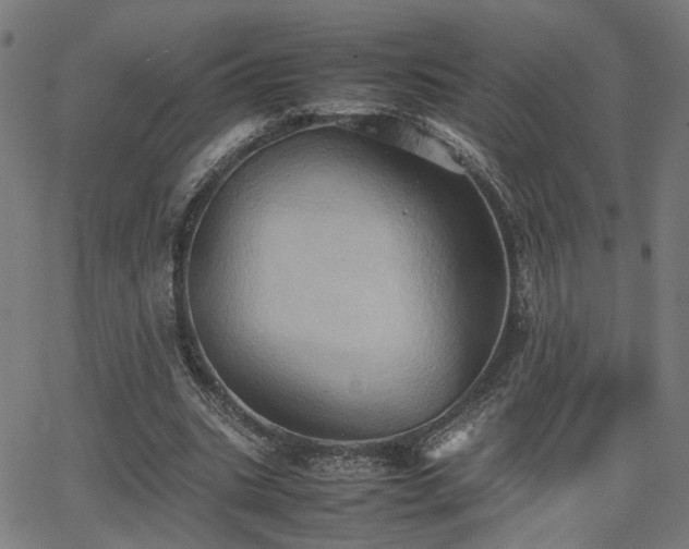 X0000064040535200601271204