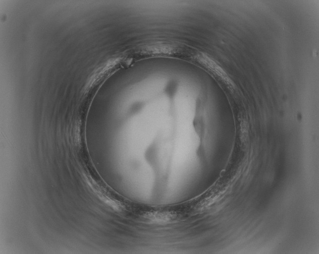 X0000064040537200601271204