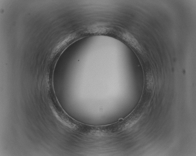 X0000064040538200601271204