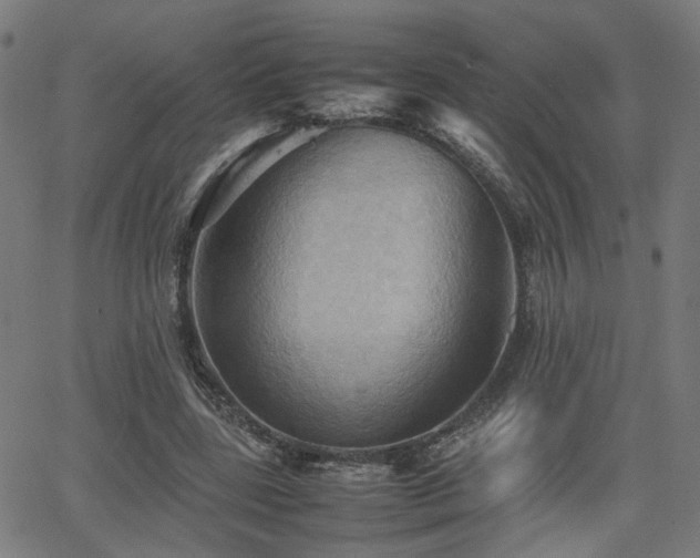 X0000064040539200601271204