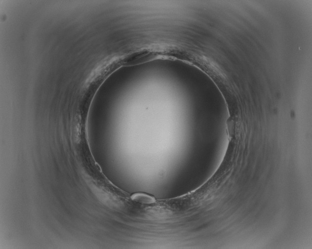 X0000064040544200601271204