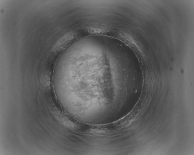 X0000064040545200601271205