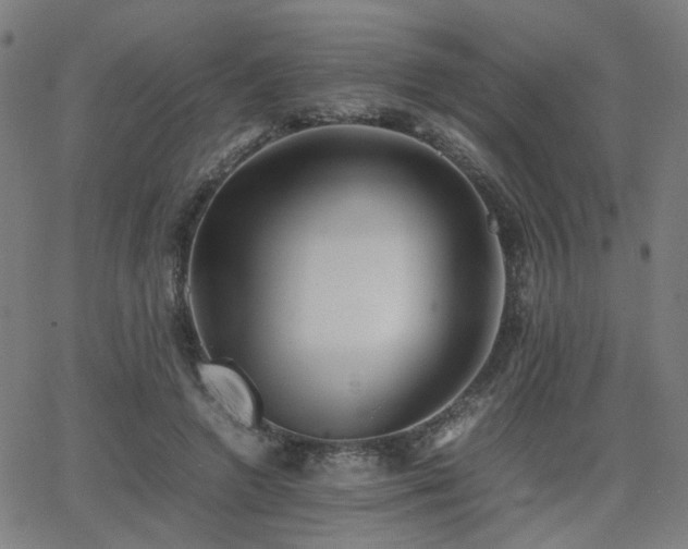 X0000064040546200601271205