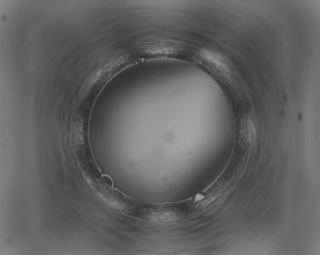 X0000064040547200601271205