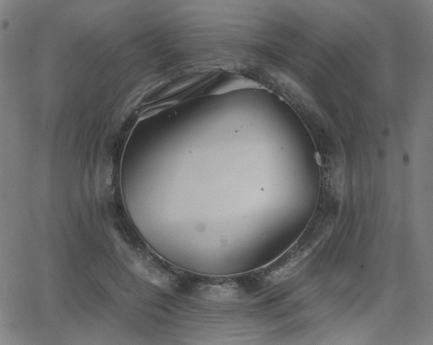 X0000064040548200601271205