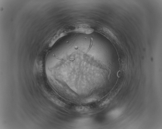 X0000064040549200601271205