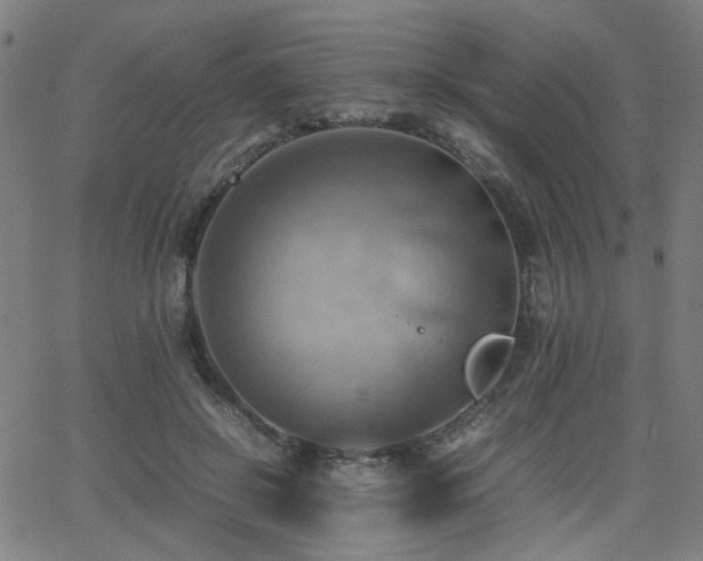 X0000064040550200601271205