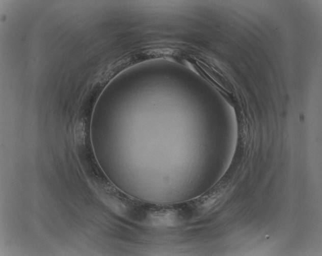 X0000064040551200601271205