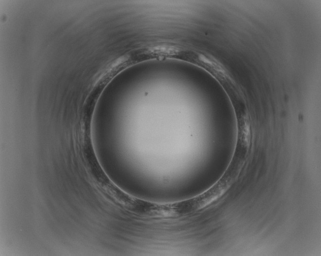 X0000064040552200601271205