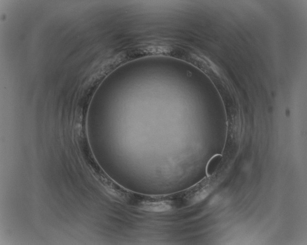 X0000064040553200601271205