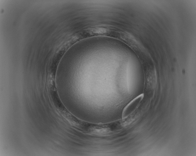 X0000064040555200601271205