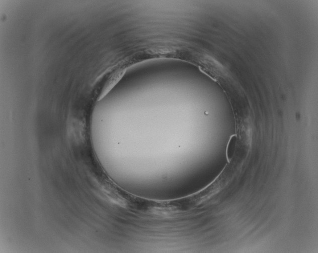 X0000064040556200601271205