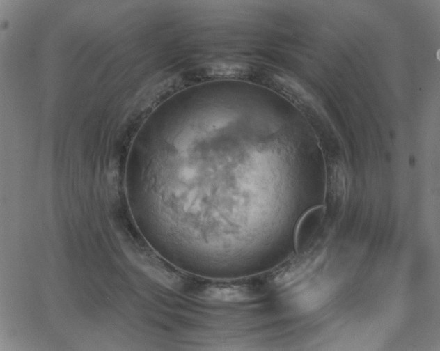 X0000064040557200601271205