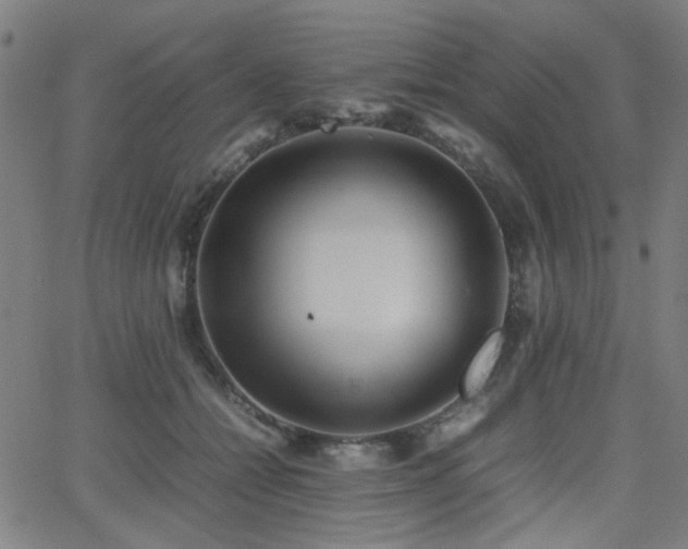 X0000064040558200601271205