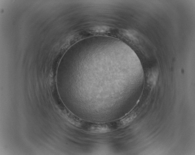 X0000064040559200601271205