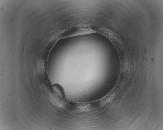 X0000064040560200601271205