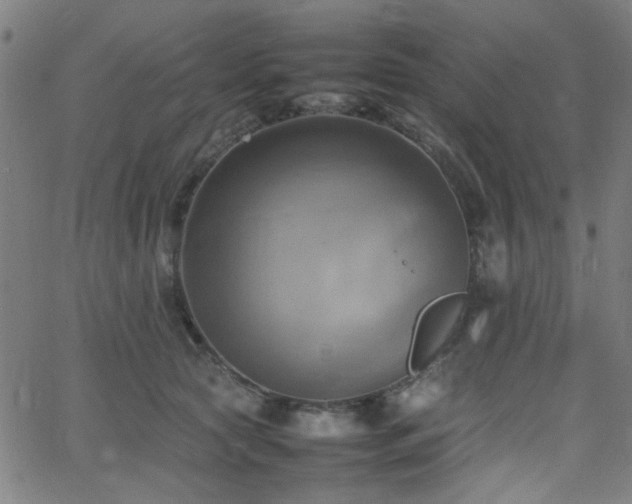 X0000064040561200601271205