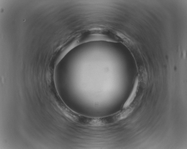 X0000064040562200601271205