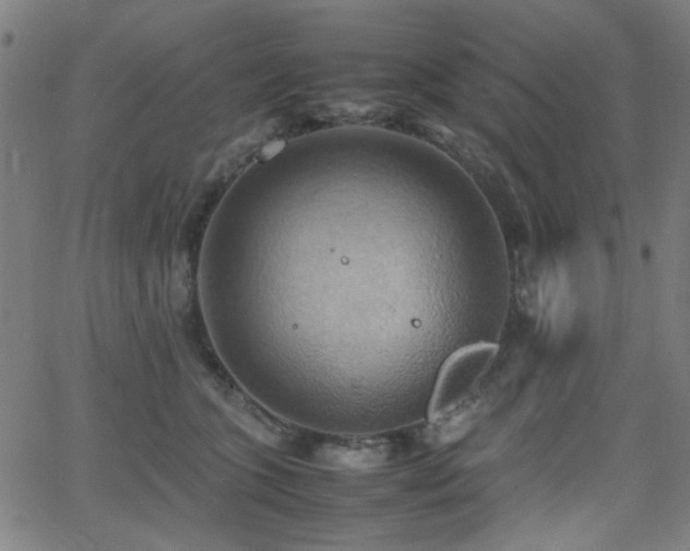 X0000064040563200601271205