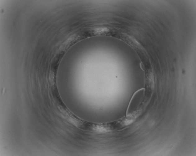 X0000064040565200601271205