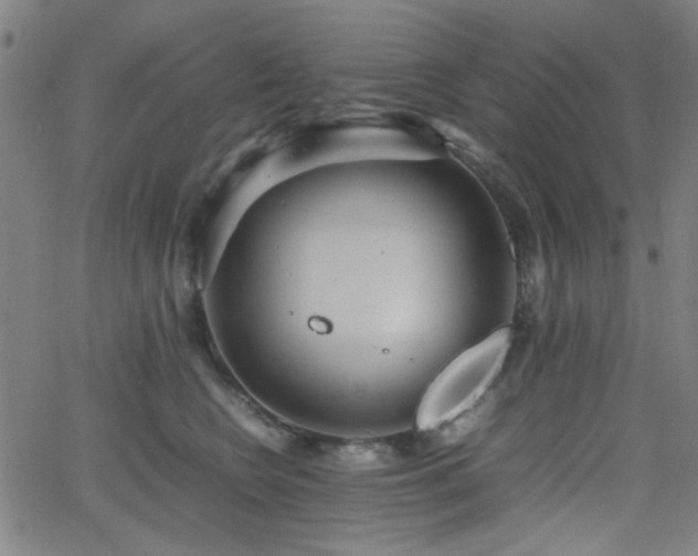 X0000064040566200601271205