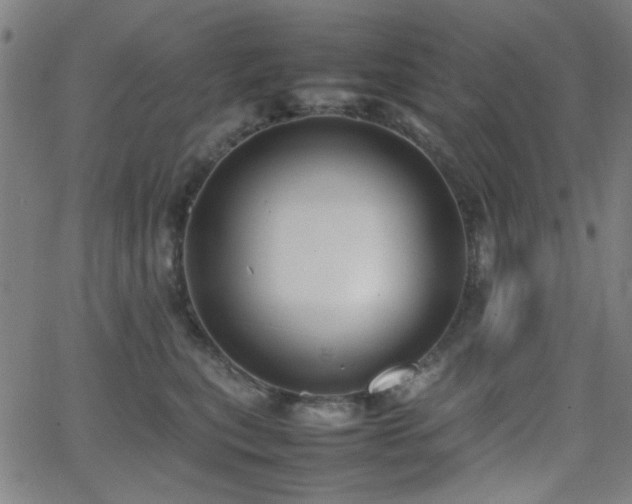 X0000064040567200601271205