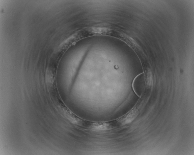 X0000064040569200601271205