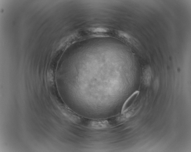 X0000064040571200601271205