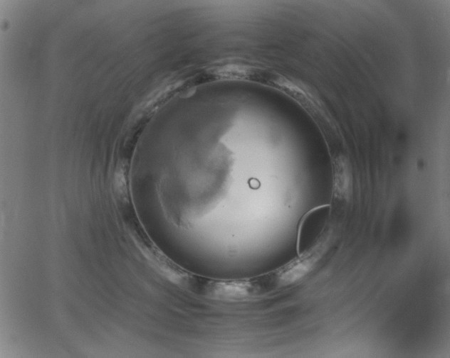 X0000064040573200601271205