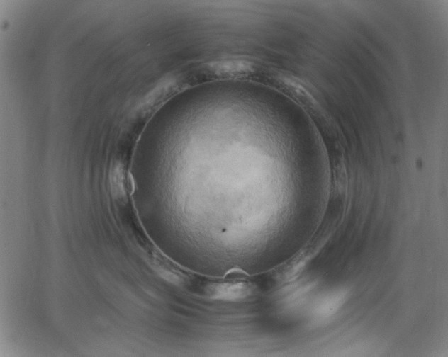 X0000064040575200601271205