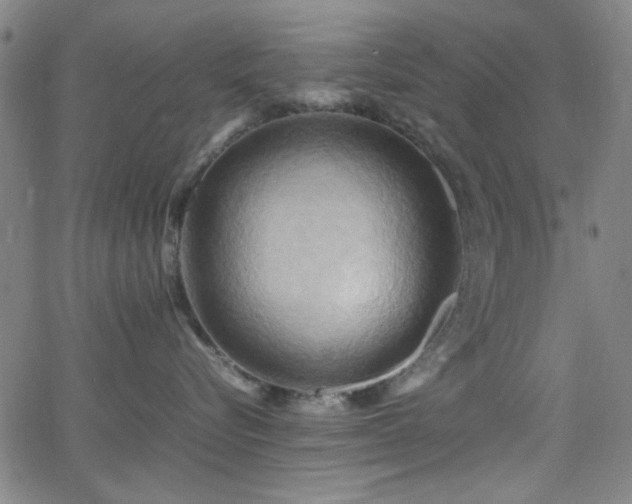 X0000064040576200601271205