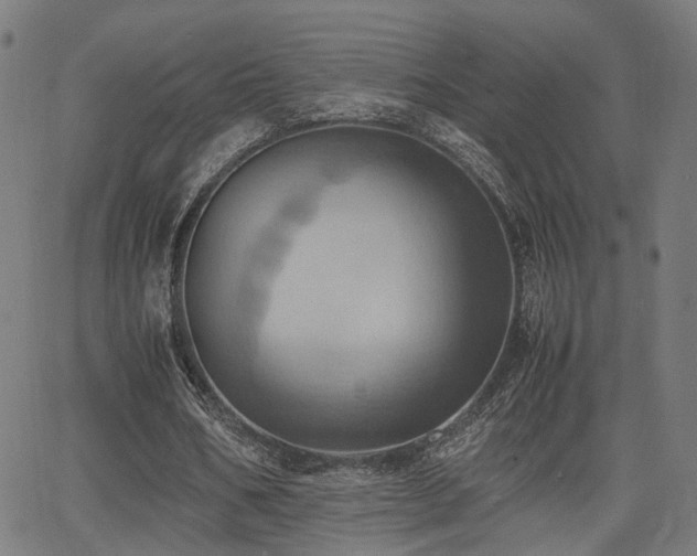 X0000064040578200601271204