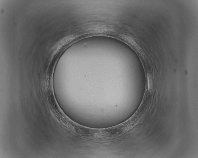 X0000064040579200601271204