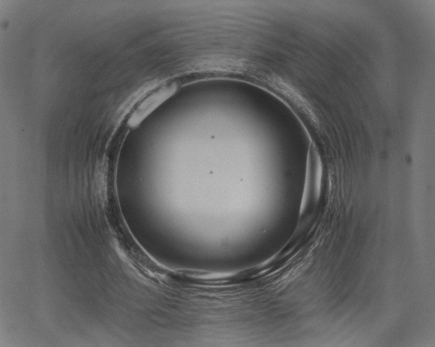 X0000064040580200601271204