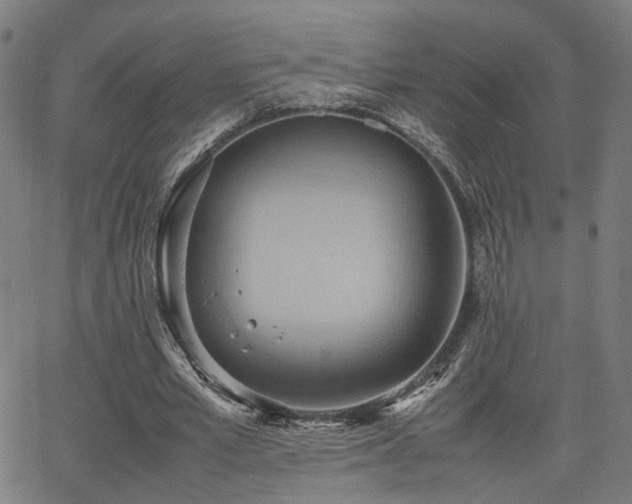 X0000064040581200601271204