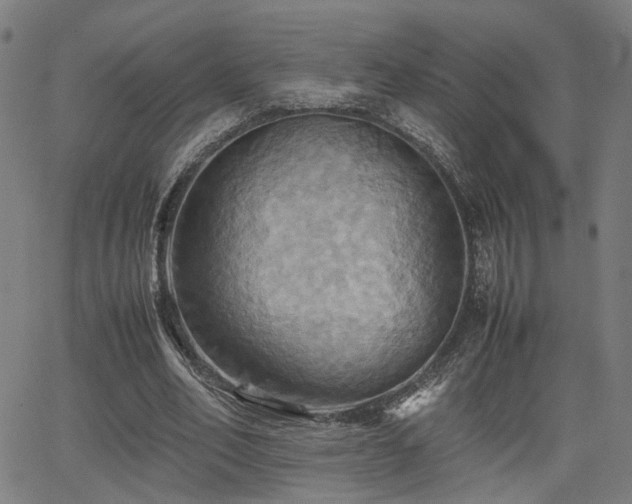 X0000064040582200601271204