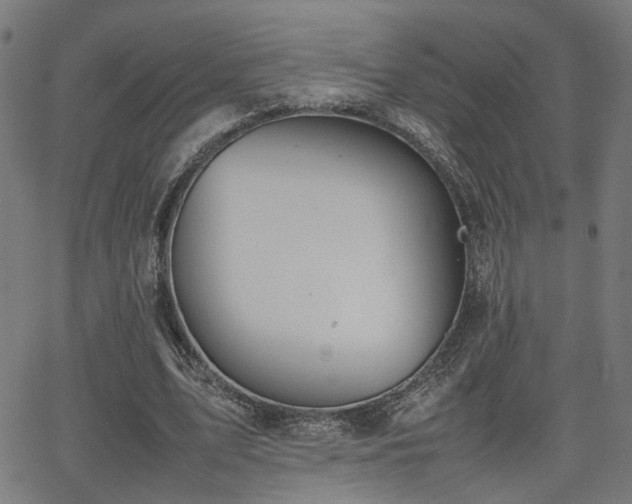 X0000064040583200601271204