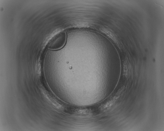 X0000064040584200601271204