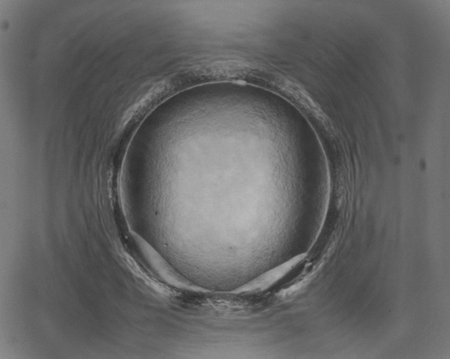 X0000064040585200601271204