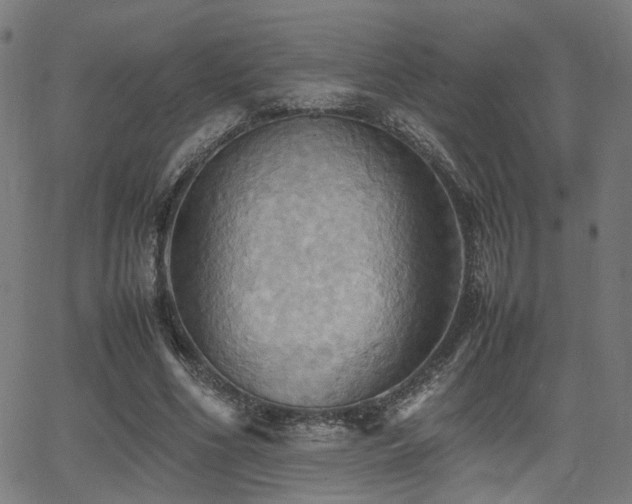 X0000064040586200601271204