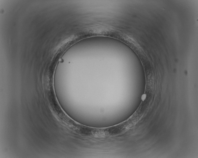 X0000064040587200601271204