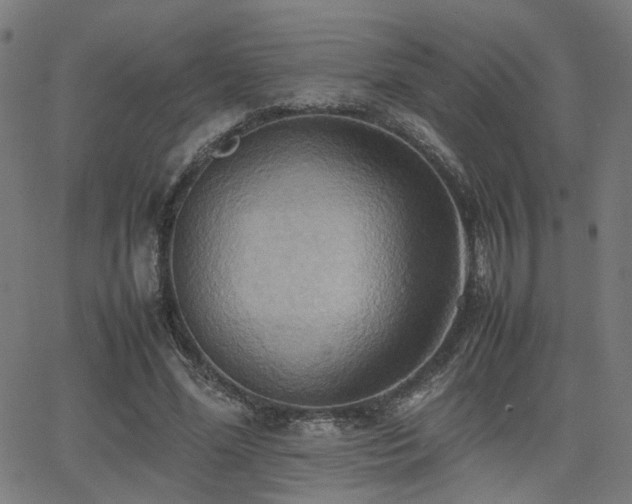 X0000064040588200601271204