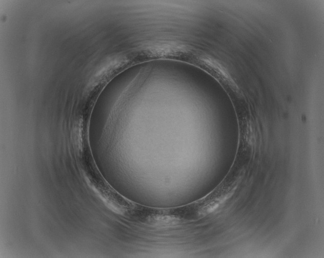 X0000064040590200601271204