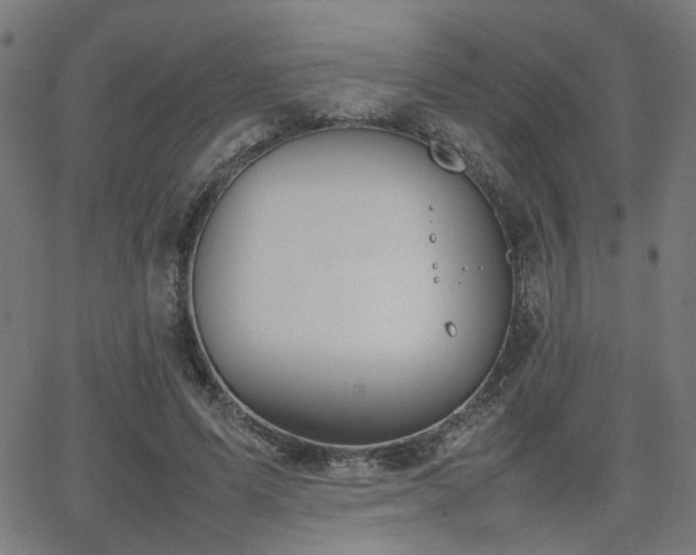 X0000064040591200601271204