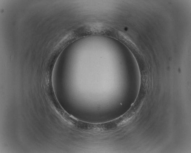 X0000064040593200601271204